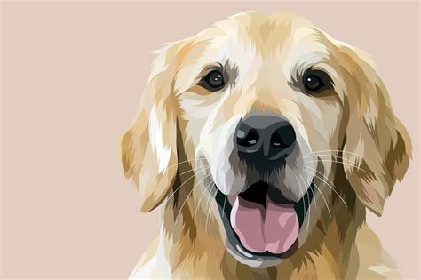 Dog Digital Painting on Behance