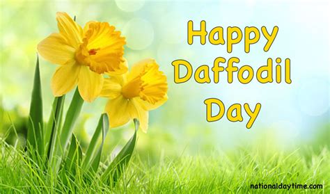 Happy Daffodil Day 2022 Image, Picture Wishes, Quotes, Captions ...