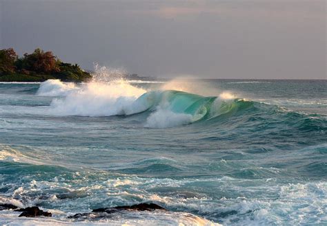 Wave Crest Photograph by Lori Seaman - Pixels