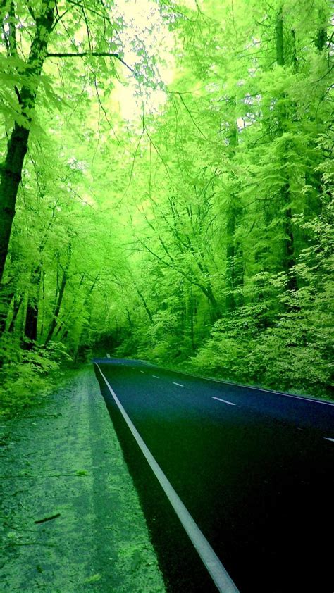 Nature Green Phone Wallpapers - Wallpaper Cave