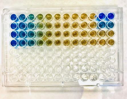 NC DNA Day » Bradford Protein Assay