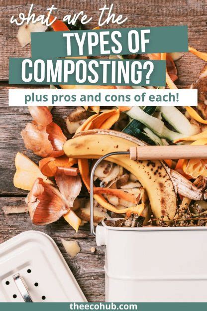 Pros And Cons Of Different Types Of Composting - The Eco Hub