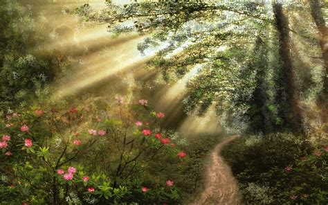 Download Sunbeam Sunshine Flower Path Artistic Forest HD Wallpaper