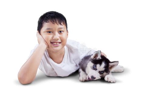 Little Boy Plays with Husky Puppy on Studio Stock Image - Image of ...