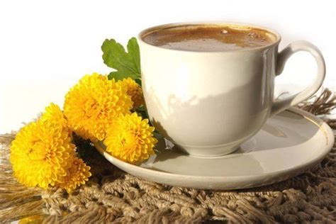 Dandelion coffee - Alchetron, The Free Social Encyclopedia