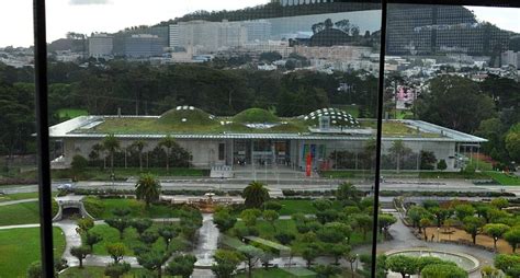 San Francisco Science Museum | California Academy of Sciences