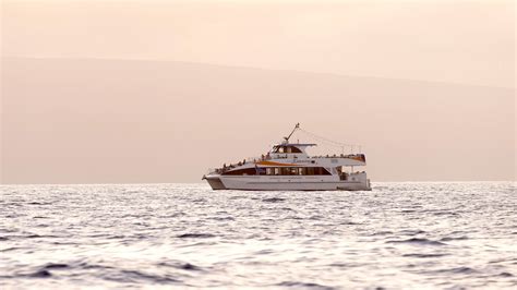 Sunset Dinner Cruise | Pacific Whale Cruises