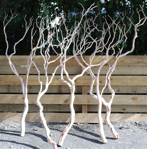 Natural Manzanita Branches - TreeLocate