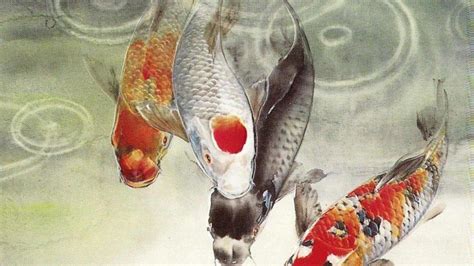 Koi Fish Wallpapers (64+ images)