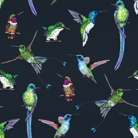 Colombian Hummingbirds on Behance