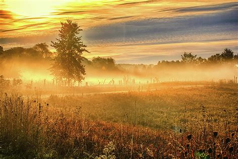 Sunrise Mist Photograph by Robert Alsop - Fine Art America