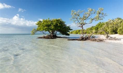 Best and Fun Things to Do in Islamorada, Florida - Traveladvo