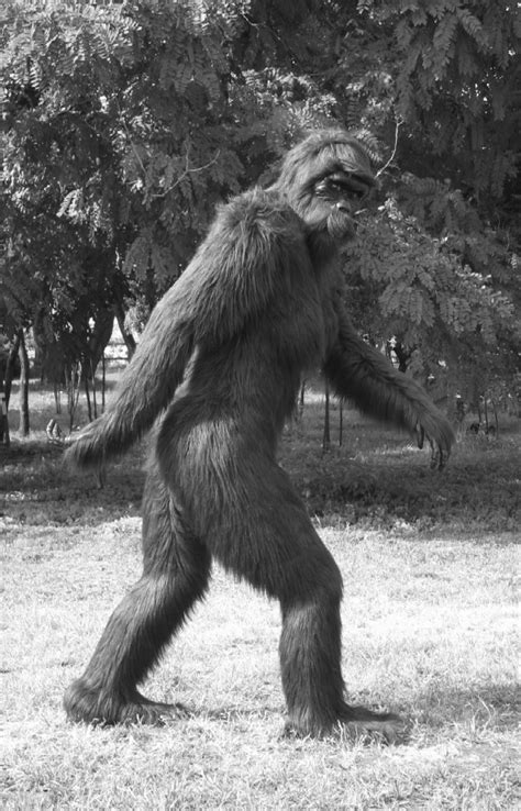 All This Is That: The Spokane River Bigfoot