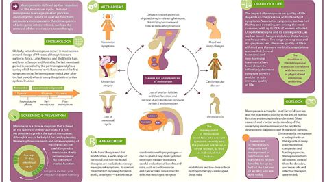 Hormone replacement therapy (menopause) - Menopause Choices