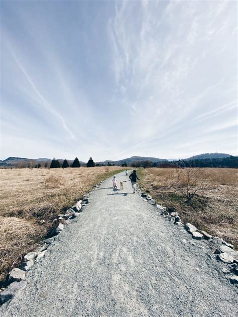 List of Walks and Hikes for Kids in the Fraser Valley