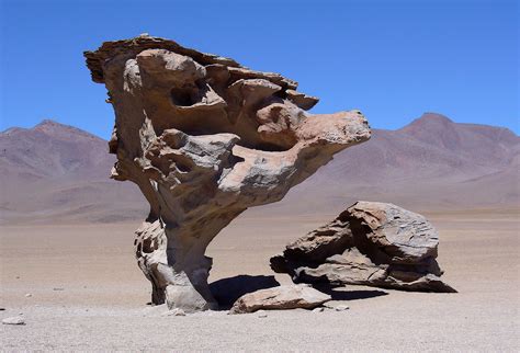 Stone Tree Bolivia | Hemel