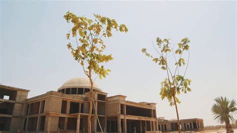 Zewail City's New Campus - YouTube