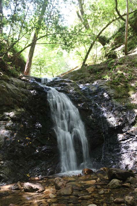 Uvas Canyon Waterfalls - South Bay Area's 6-Waterfall Refuge