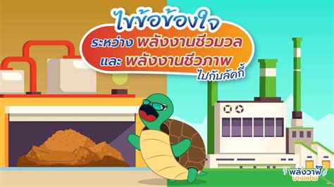 ไขข้อข้องใจระหว่างพลังงานชีวมวลและพลังงานชีวภาพไปกับลัคกี้ | Whale ...