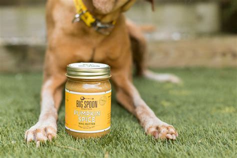 Can dogs eat peanut butter?