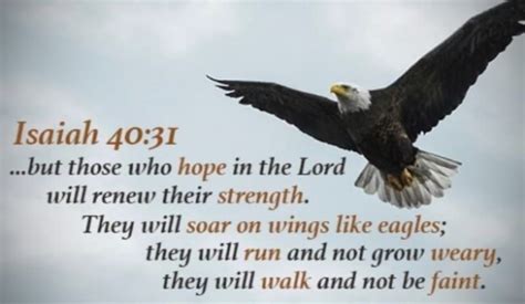 I Will Soar on Wings like Eagles | Wings like eagles, Scripture quotes, God the father