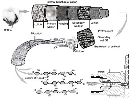 Energy Efficient Manufacturing of Nanocellulose by Chemo- and Bio ...