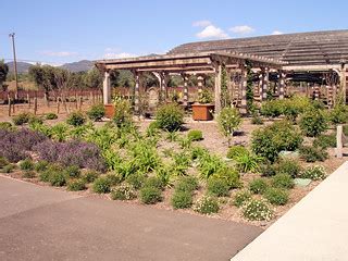 DSC22161, Black Stallion Winery, Napa Valley, California, … | Flickr