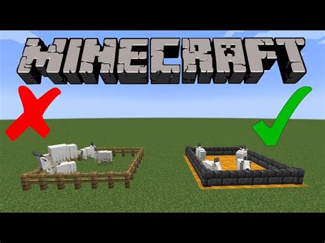 How to make a goat farm in Minecraft