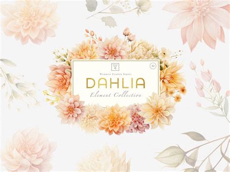 Dahlia Clipart Floral Border Designs Wedding Card Design Foliage Clip ...