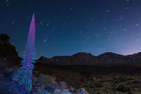 Mount Teide Night Tour: Stargazing, Dinner And Hotel Pick Up: Triphobo