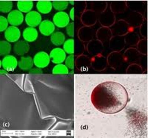 Pharmaceutical applications of colloids Definition - Assignment Point