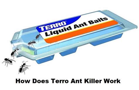 How Does Terro Ant Killer Work For Your Garden | Bestultrareviews