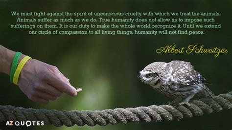 Albert Schweitzer Quotes About Animal Rights | A-Z Quotes