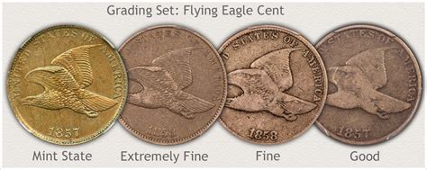 Flying Eagle Penny Values | Discover Their Worth