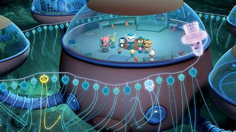 Siphonophore | Octonauts Wiki | FANDOM powered by Wikia