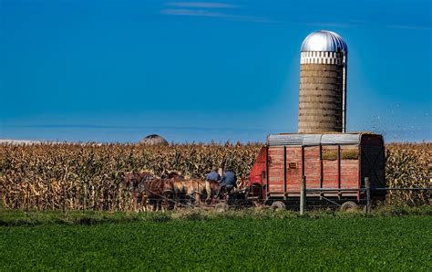 Amish Farms vs. Modern Farms | GoAndersonGroups by US Tours