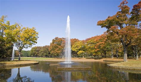 The Cheapo Guide to Yoyogi Park | Tokyo Cheapo