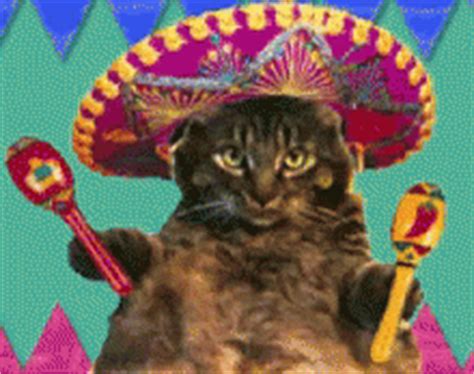 Mexican Sombrero GIF - Mexican Sombrero Cat - Discover & Share GIFs