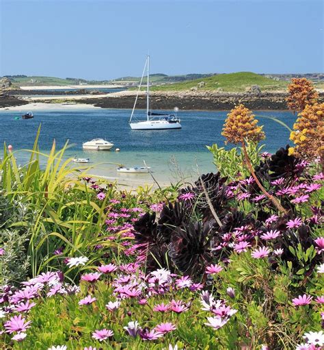 Flower arrangement | Isles of scilly, Coastal gardens, Seaside uk