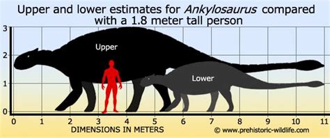 Ankylosaurus | Prehistoric wildlife, Prehistoric