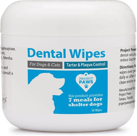 PROJECT PAWS Tartar & Plaque Control Dog Dental Wipes, 50 count - Chewy.com