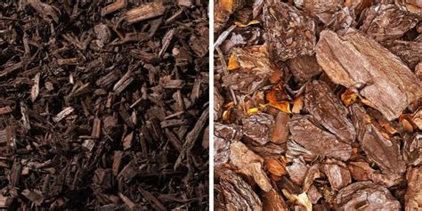 Everything You Need to Know About Mulch - Stephens Landscaping Professionals