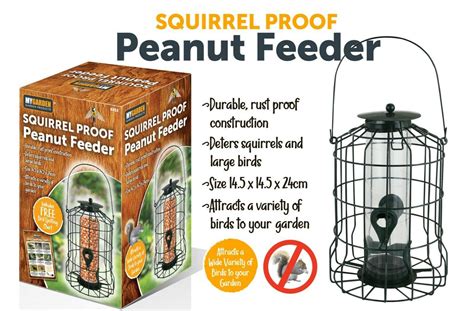 Squirrel Proof Peanut Feeder – HamptonandStewart