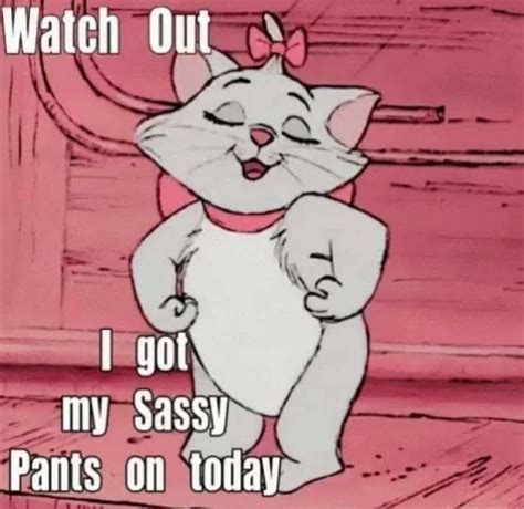 Pin by Brandy Head on Sassy and a bit Smartassy! | Sassy pants, Bones funny, Sassy