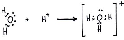 Acids and Bases - Antranik.org