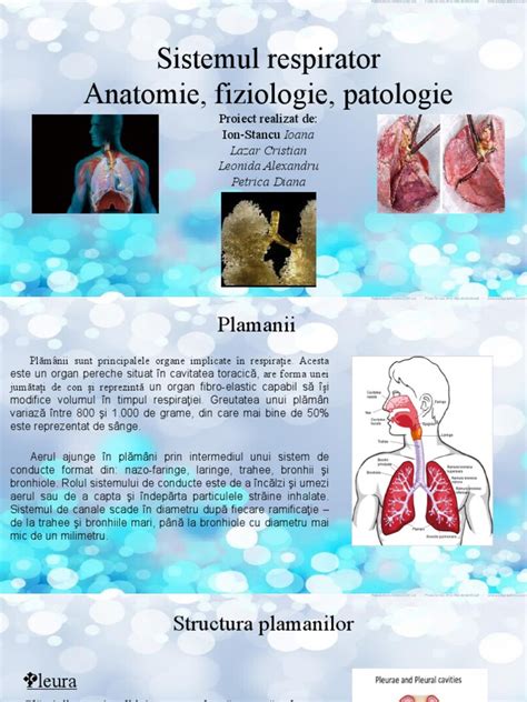 Sistemul Respirator | PDF