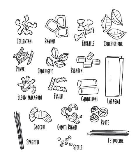 Premium Vector | Types of italian pasta pasta illustration in doodle style