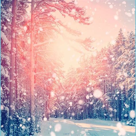 Free Cute Winter Wallpapers - Wallpaper Cave