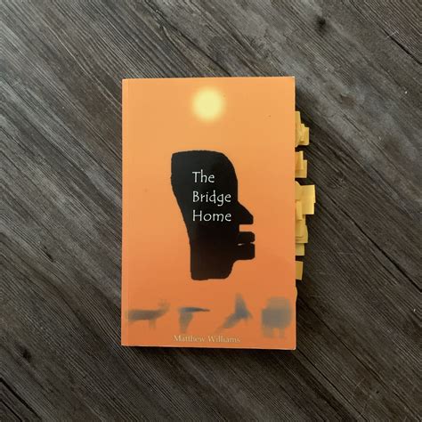 The Bridge Home by Matthew Williams (Book Review) — Black & Bookish