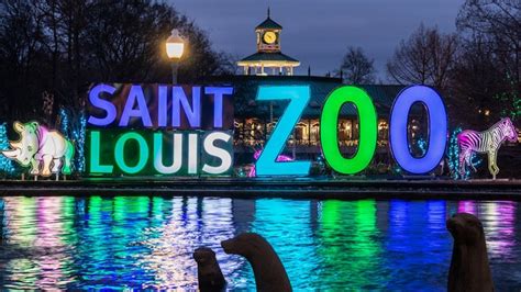 Saint Louis Zoo's Wild Lights returns this month | ksdk.com